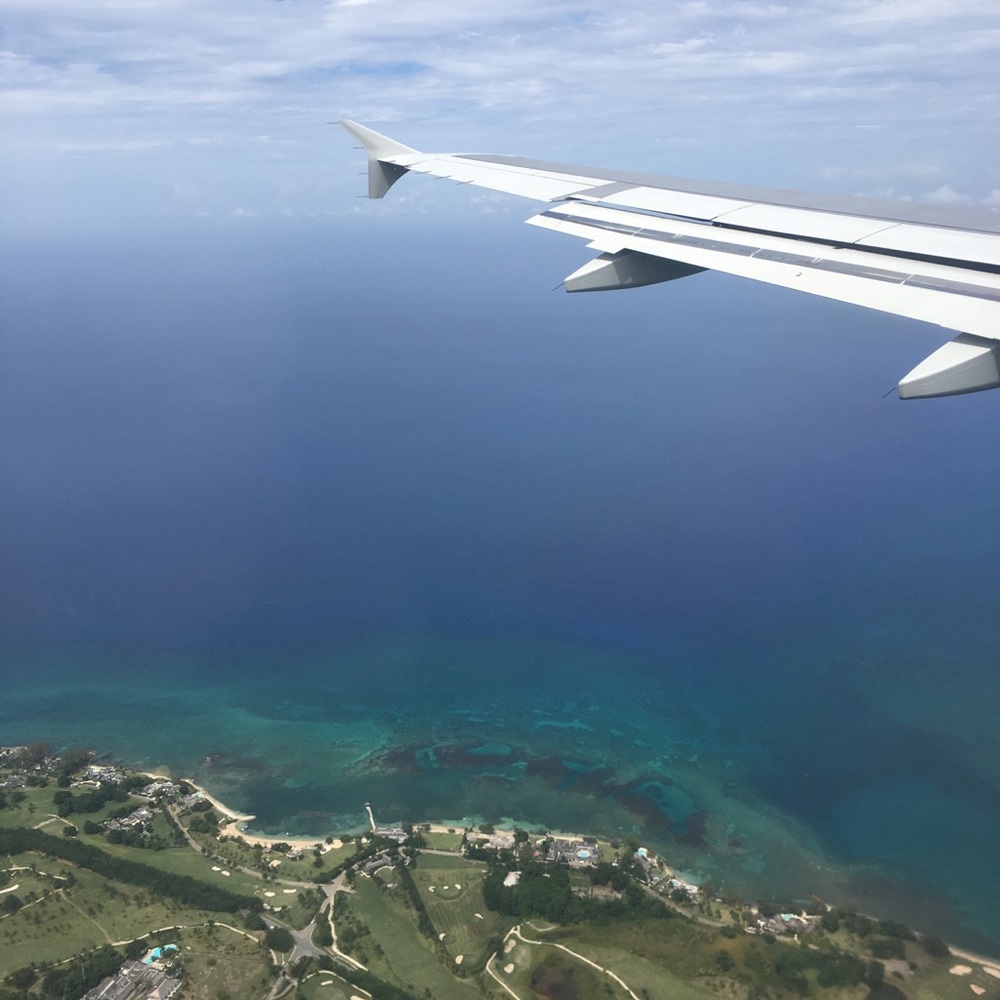 Meet your Posher, Priscilla